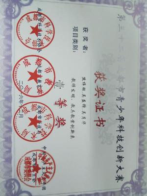 《中學生自我認識現狀調查》小組研究性課題榮獲成都市一等獎 - 學生活動 - 思品組 - 雙流中學實驗學校歡迎你!